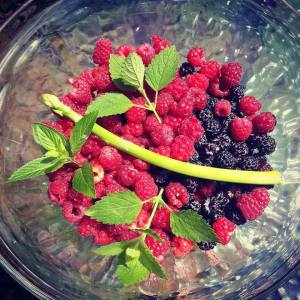 Homegrown Fruit Photo